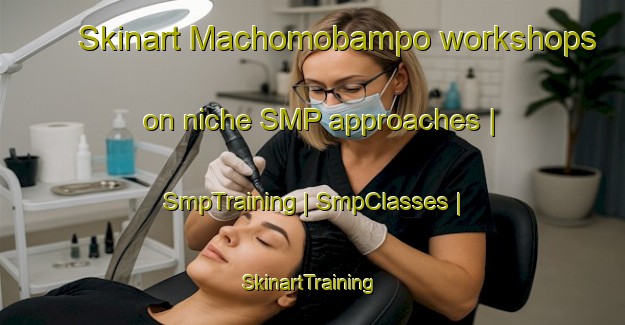 Skinart Machomobampo workshops on niche SMP approaches | SmpTraining | SmpClasses | SkinartTraining-Mexico